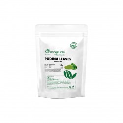 Kanan Naturale Pudina Leaves Powder 200 gm  ( 100 gm x 2 Packs )