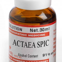 ACTAEA SPIC 